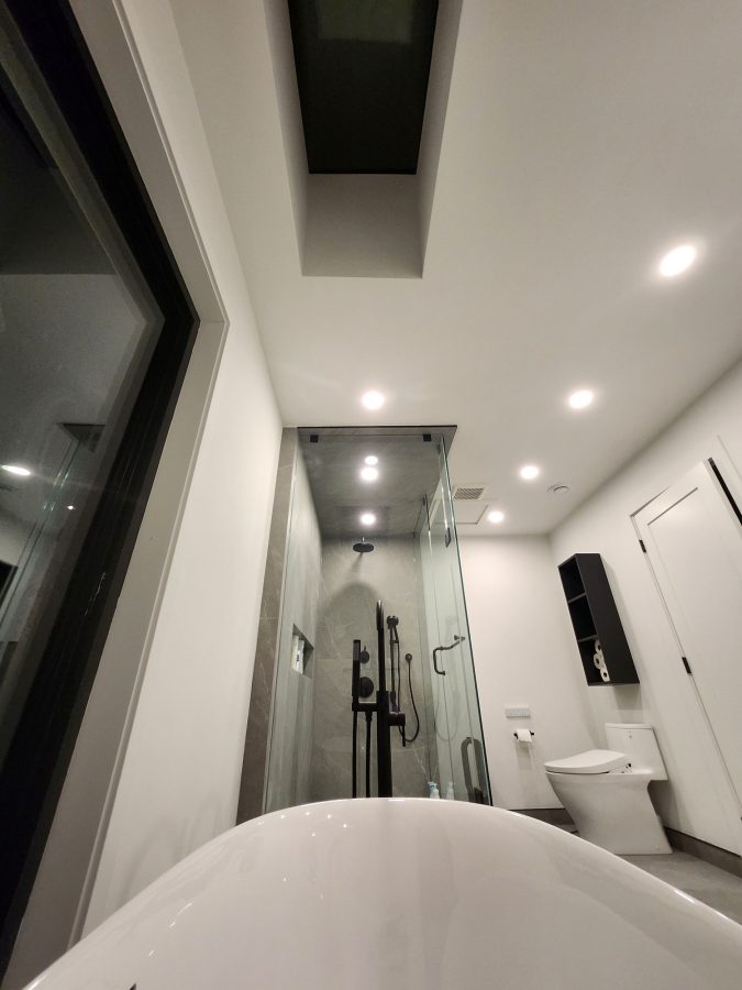 Bathroom with skylight above a glass shower and soaking tub